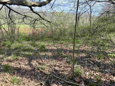 Tiny photo for off Co Rd 660 S / 675 E, Hardinsburg, IN 47125 (MLS # 202613047)