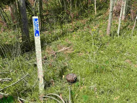 Tiny photo for off Co Rd 660 S / 675 E, Hardinsburg, IN 47125 (MLS # 202613047)