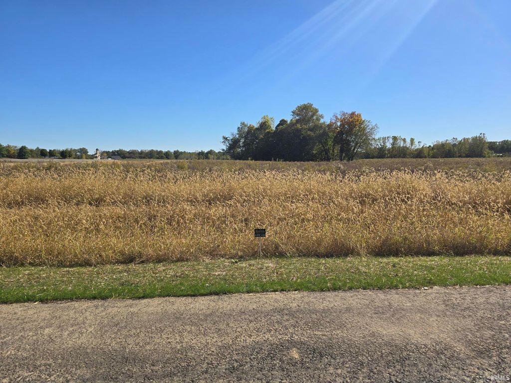Photo of Lot 13 County Road 17 Drive, Auburn, IN 46706 (MLS # 202541348)