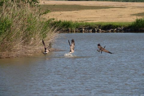 Tiny photo for 9925 Ayrshire Road, Chandler, IN 47610 (MLS # 202616204)