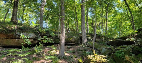 Tiny photo for Stephanie Court, Solsberry, IN 47459 (MLS # 202637962)
