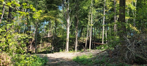 Tiny photo for Stephanie Court, Solsberry, IN 47459 (MLS # 202637962)