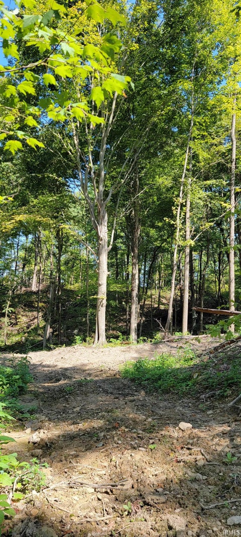 Tiny photo for Stephanie Court, Solsberry, IN 47459 (MLS # 202637962)