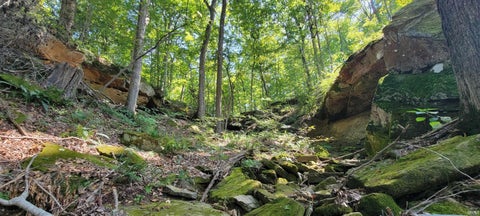 Tiny photo for Stephanie Court, Solsberry, IN 47459 (MLS # 202637962)