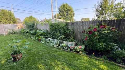 Tiny photo for 505 S Walnut Street, South Bend, IN 46619 (MLS # 202619430)