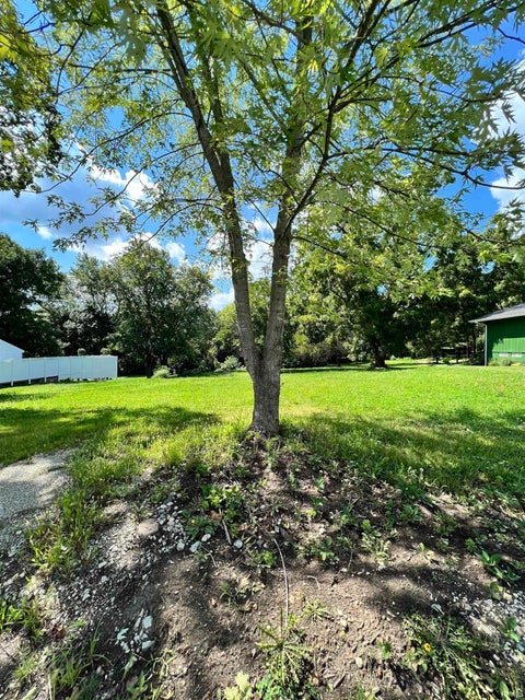 Photo for 775 N Seminary Street