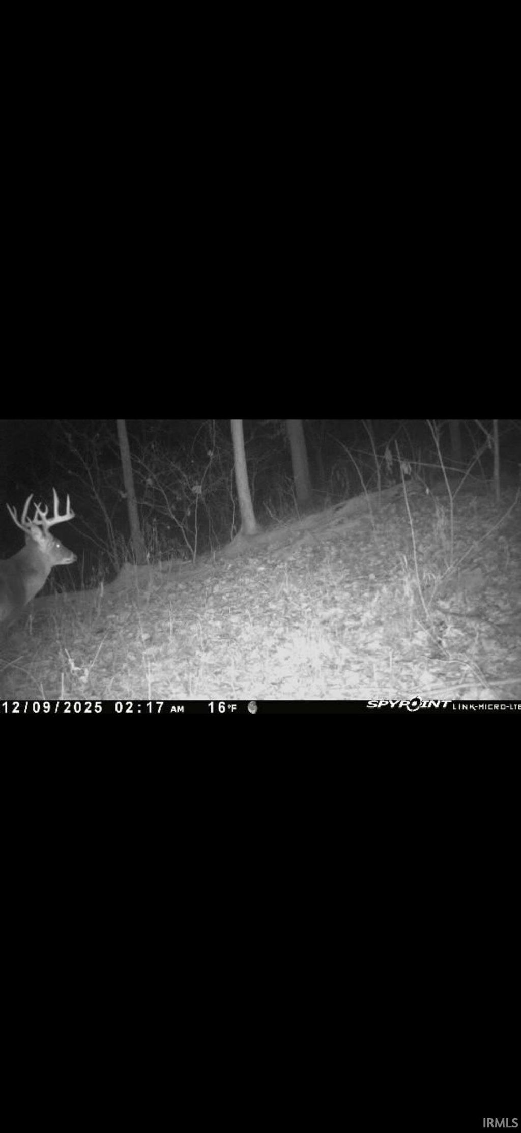 Photo of 6017 N Old 157 Road, Worthington, IN 47471 (MLS # 202547736)