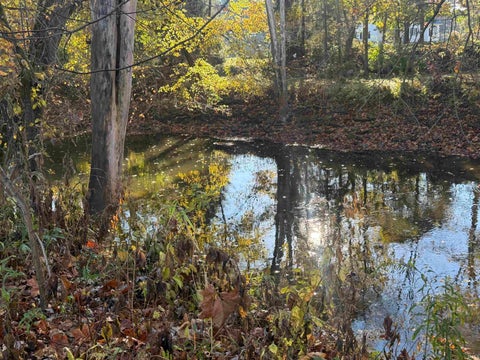 Tiny photo for 2363 E STATE Street, Huntington, IN 46750 (MLS # 202644864)