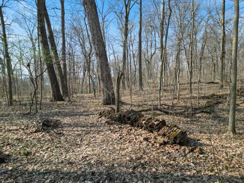 Tiny photo for TBD EMS T35 Lane, Leesburg, IN 46538 (MLS # 202609924)