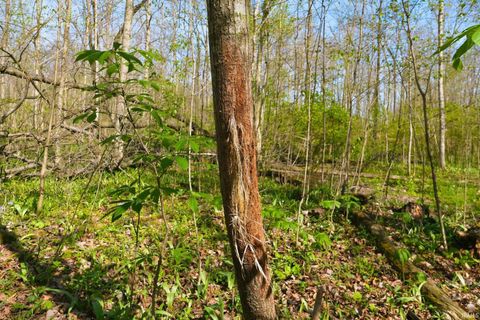 Tiny photo for 000 S 350 E, Marion, IN 46953 (MLS # 202614393)