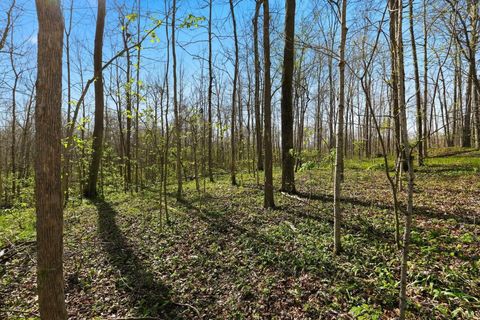 Tiny photo for 000 S 350 E, Marion, IN 46953 (MLS # 202614393)