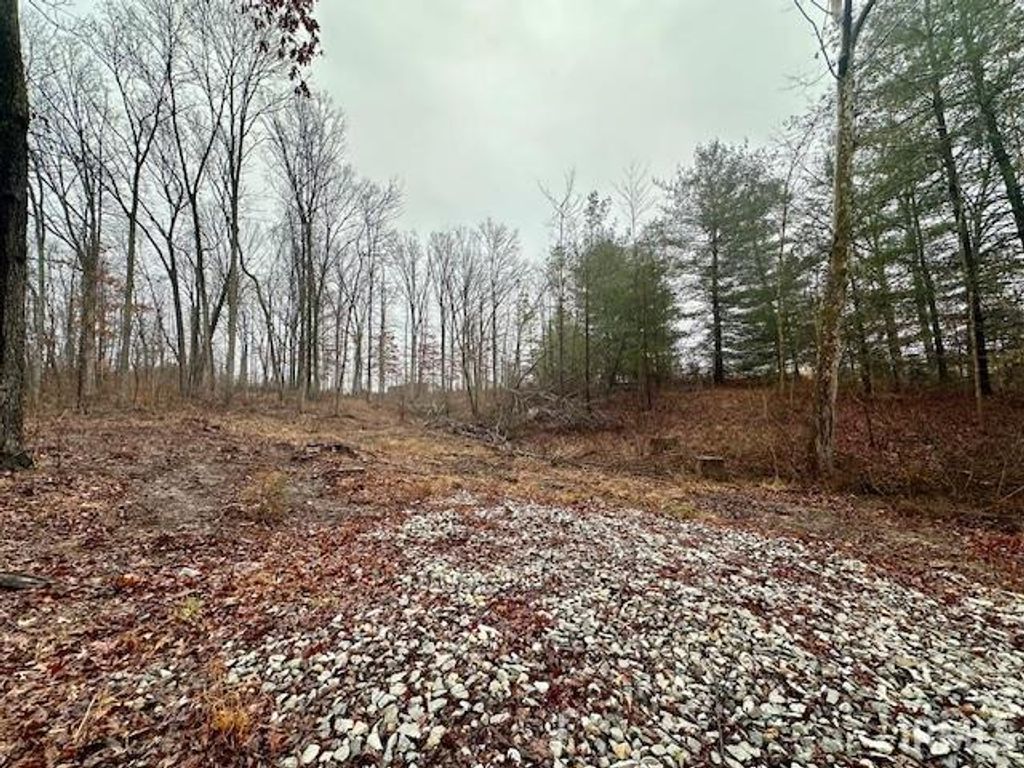 Photo of TBD State Road 54, Springville, IN 47462 (MLS # 202606735)