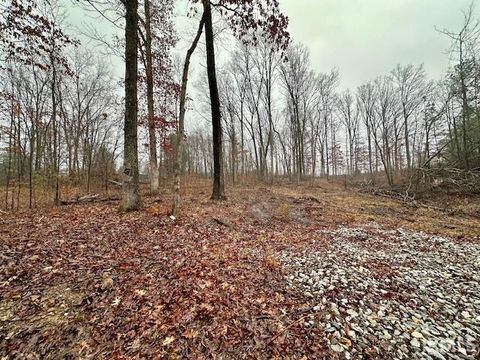 Photo of TBD State Road 54, Springville, IN 47462 (MLS # 202606735)