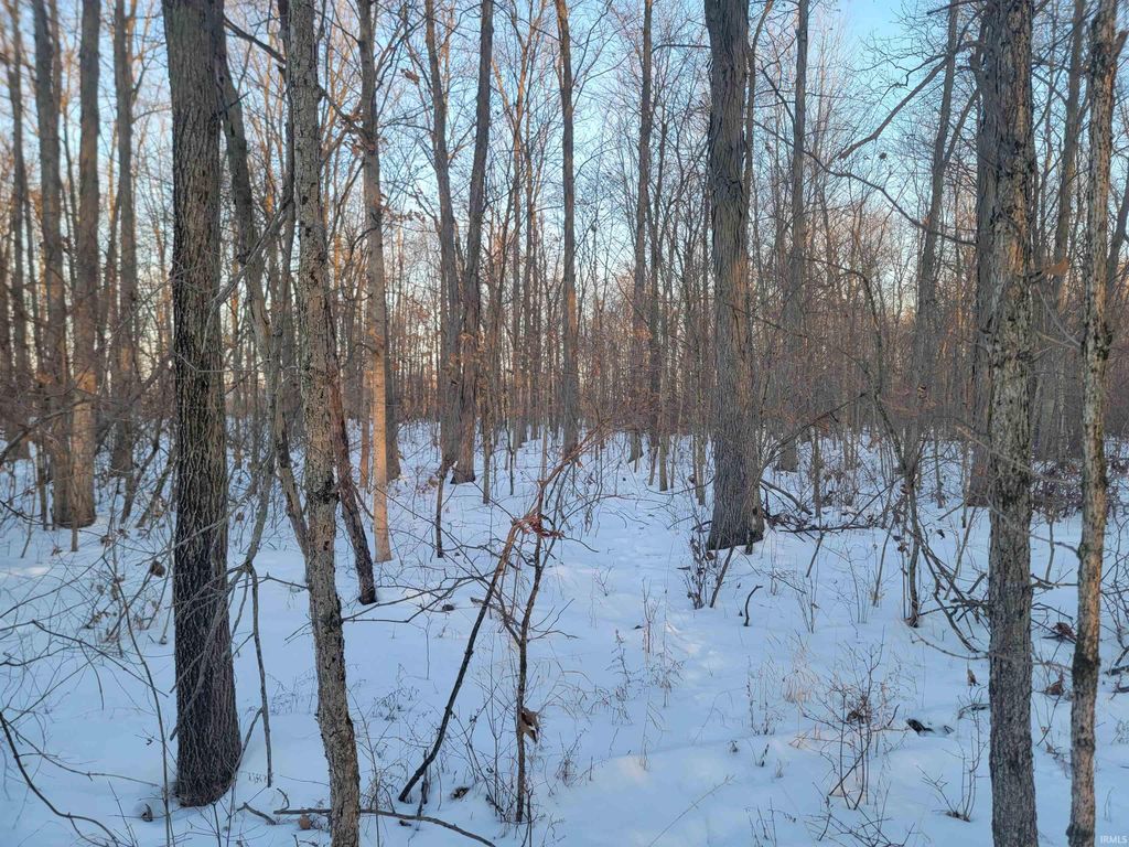 Photo of TBD E 450 S, Portland, IN 47371 (MLS # 202604073)