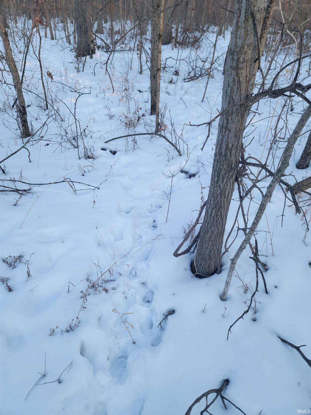 Photo of TBD E 450 S, Portland, IN 47371 (MLS # 202604073)