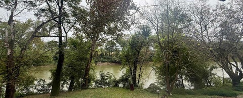Tiny photo for 16093 McBride Bluff Road, Shoals, IN 47581 (MLS # 202640107)