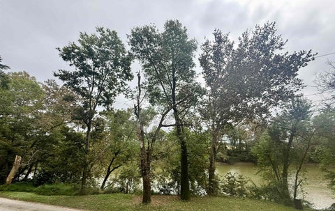 Tiny photo for 16093 McBride Bluff Road, Shoals, IN 47581 (MLS # 202640107)