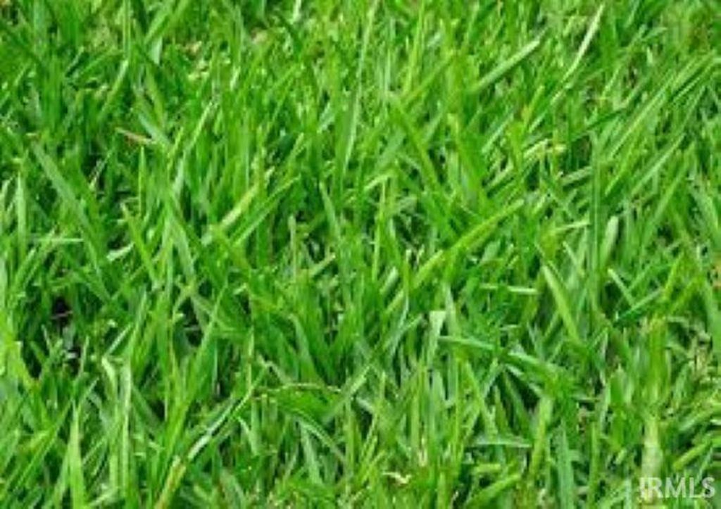 Photo of 618 N BRANSON Street, Marion, IN 46952 (MLS # 202603029)