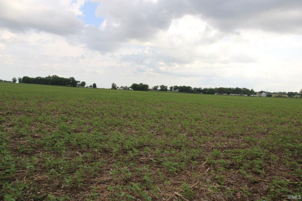 Photo of 0 S 50 E, Princeton, IN 47670 (MLS # 202619202)