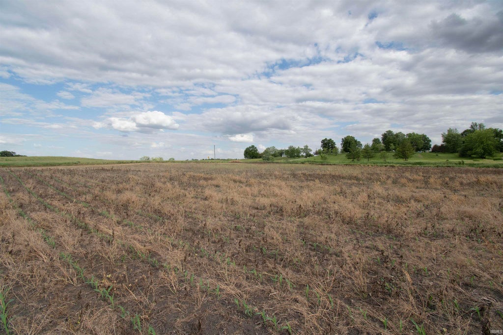 Photo of TBD S 700 E, Avilla, IN 46710 (MLS # 202639574)