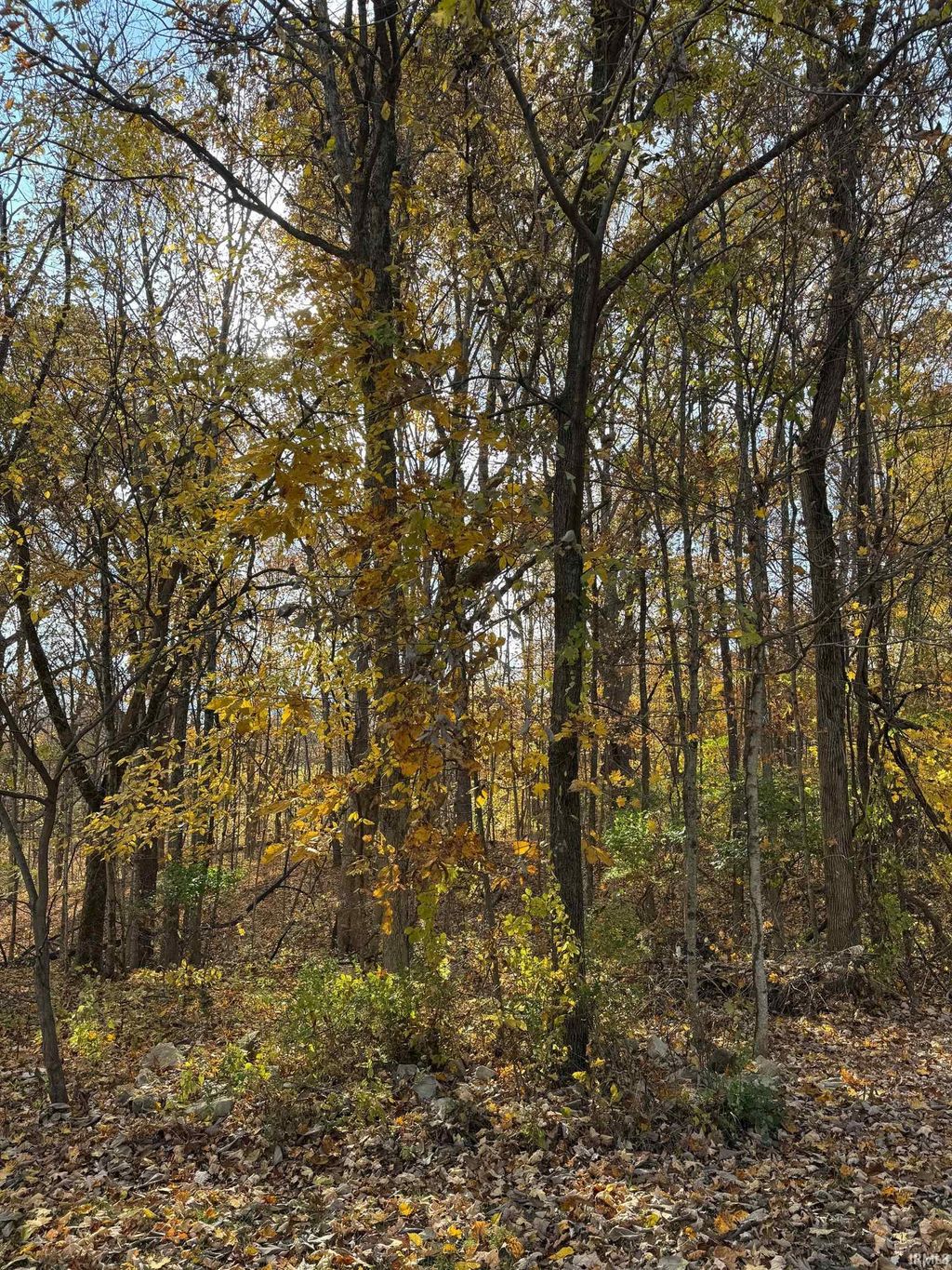 Photo of 1240 S Barnes Drive, Bloomington, IN 47401 (MLS # 202545252)