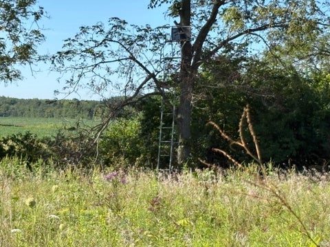 Tiny photo for 6810 S Warren Road, Warren, IN 46792 (MLS # 202635030)