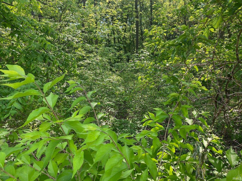 Photo of 3000 BLK N Benton Road, Muncie, IN 47304 (MLS # 202618856)