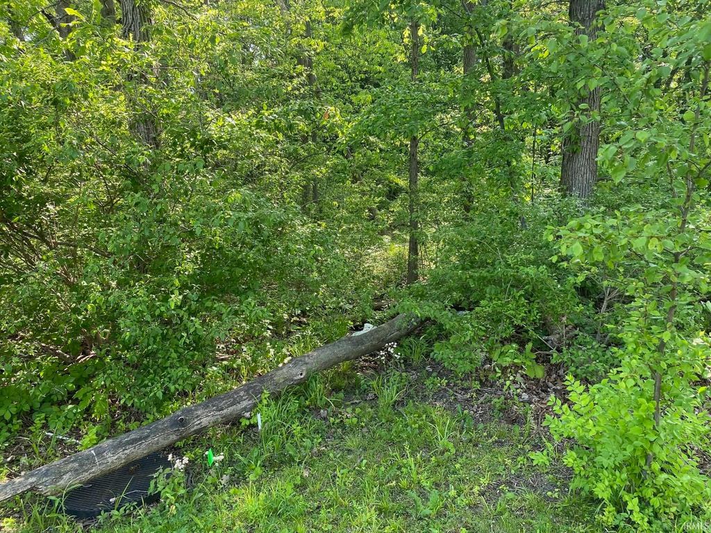 Photo of 3000 BLK N Benton Road, Muncie, IN 47304 (MLS # 202618856)
