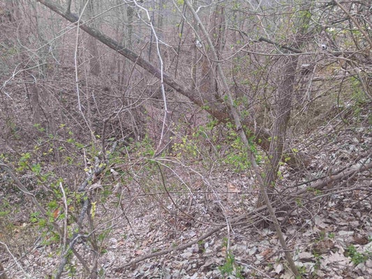 10801 BUCKSKIN RD, POLAND, IN 47868 - Image 16e0c39b0fac4300ea3b037d71c0ee7a/1101608808