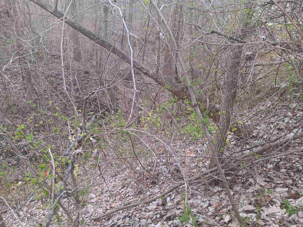 Photo of 10801 Buckskin Road, Poland, IN 47868 (MLS # 202536060)