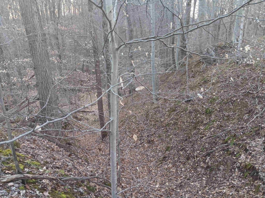 Photo of 10801 Buckskin Road, Poland, IN 47868 (MLS # 202536060)