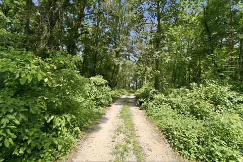 Tiny photo for 8788 S Us Highway 35, Monterey, IN 46960 (MLS # 202631909)
