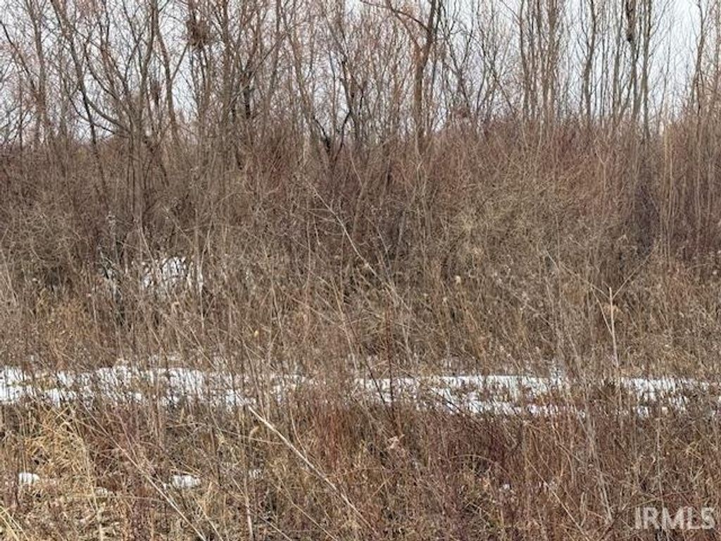 Photo of 0 300 S St, Crawfordsville, IN 47933 (MLS # 202605548)