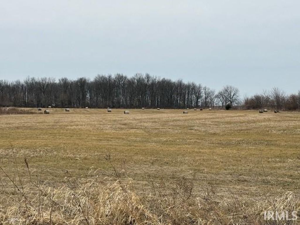 Photo of 0 300 S St, Crawfordsville, IN 47933 (MLS # 202605548)