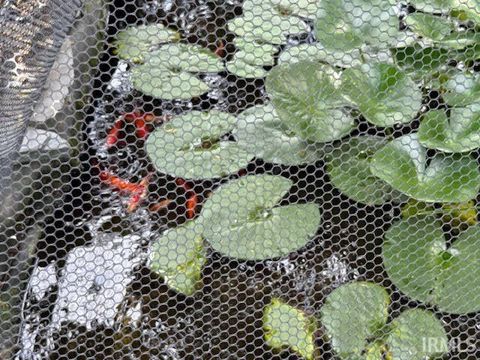 Tiny photo for 208 Park Row, Flora, IN 46929 (MLS # 202529059)