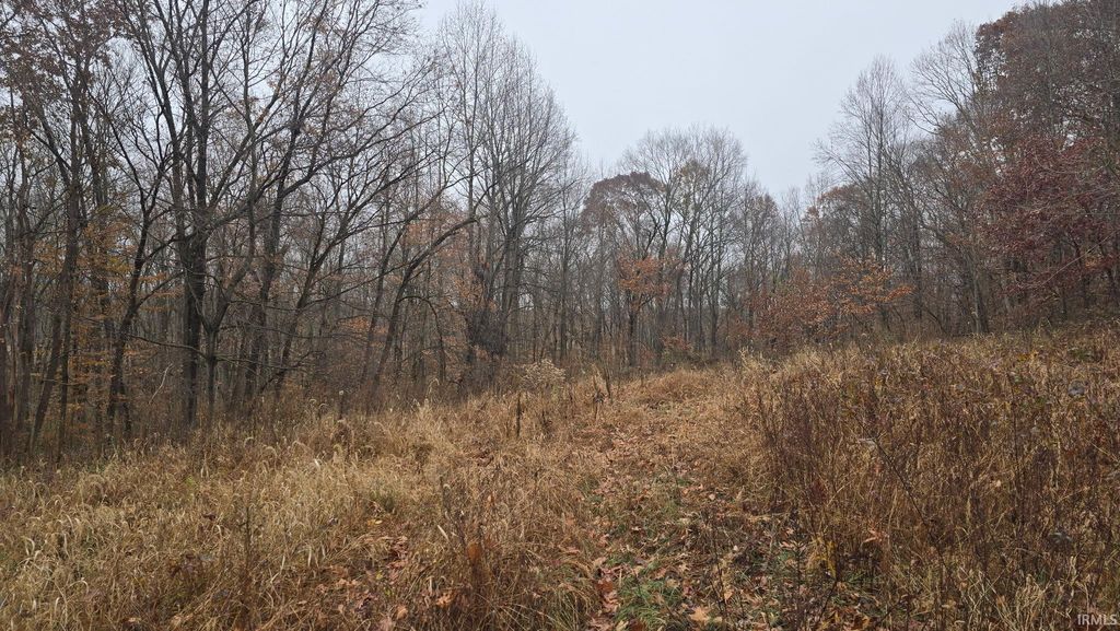 Photo of SHIRE Road, Dubois, IN 47527 (MLS # 202547301)