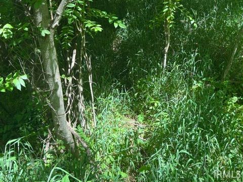 Tiny photo for N Bawel Road, Boonville, IN 47619 (MLS # 202618355)