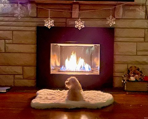 Tiny photo for 10845 Browning Road, Evansville, IN 47725 (MLS # 202618341)