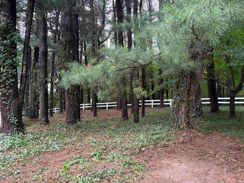 Tiny photo for 10171 4 TH Road, Bremen, IN 46506 (MLS # 202638822)