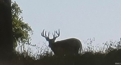 Tiny photo for 5164 E 325 N, Logansport, IN 46947 (MLS # 202607793)