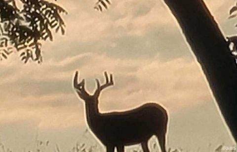 Tiny photo for 5164 E 325 N, Logansport, IN 46947 (MLS # 202607793)