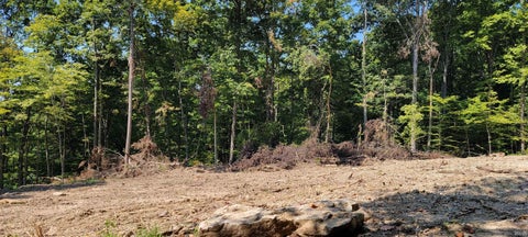 Tiny photo for Stephanie Court, Solsberry, IN 47459 (MLS # 202637970)