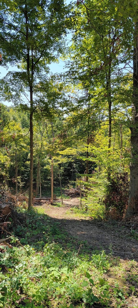 Tiny photo for Stephanie Court, Solsberry, IN 47459 (MLS # 202637970)