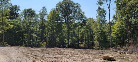 Tiny photo for Stephanie Court, Solsberry, IN 47459 (MLS # 202637970)