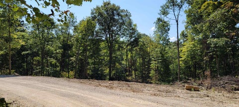 Photo of Stephanie Court, Solsberry, IN 47459 (MLS # 202637970)
