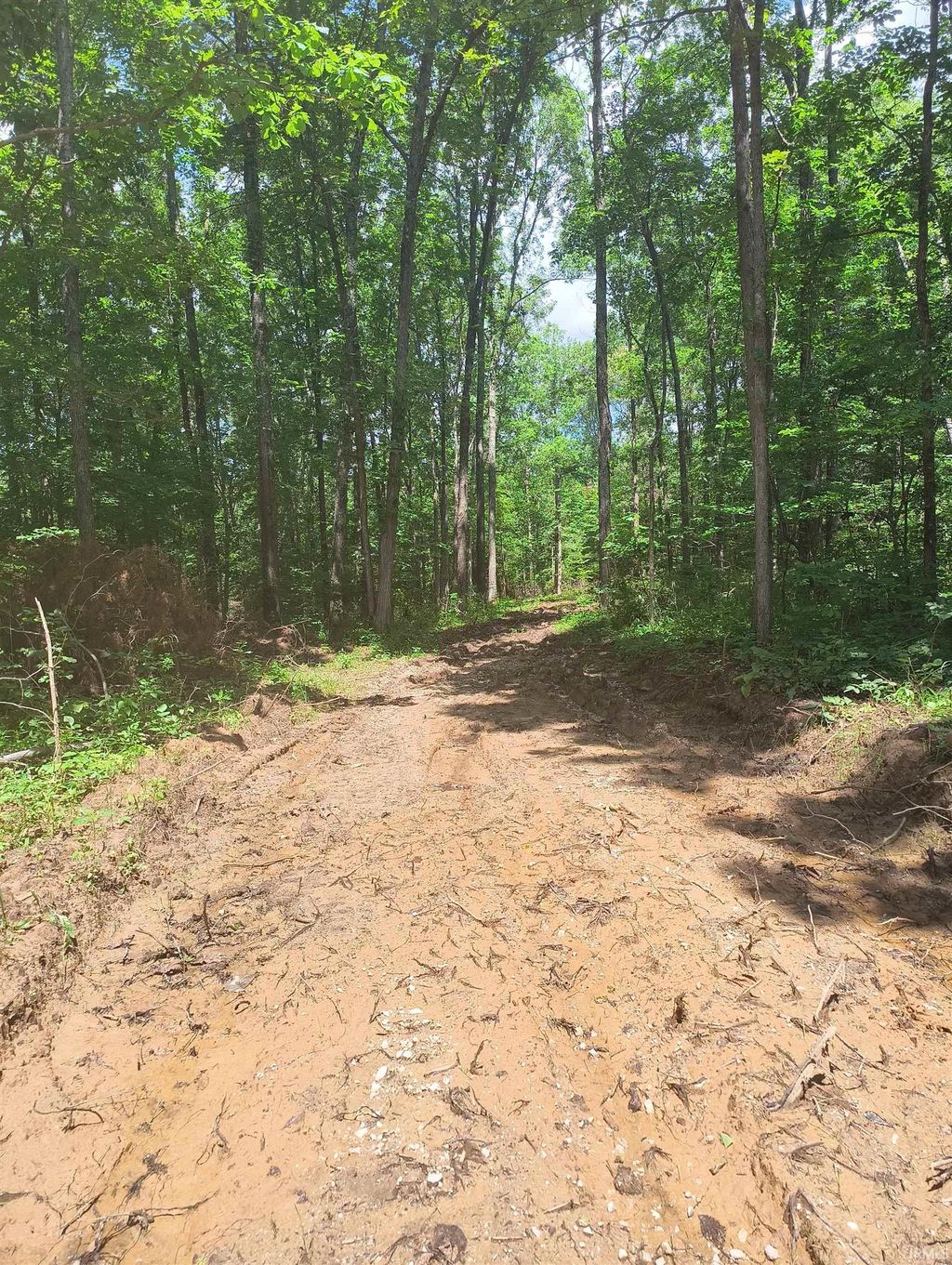 Photo of 2500 S Coalmine Road, Bloomfield, IN 47424 (MLS # 202626082)