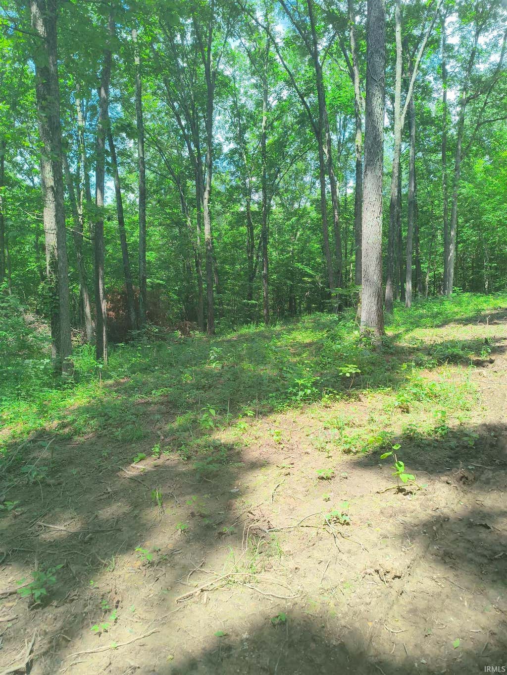 Photo of 2500 S Coalmine Road, Bloomfield, IN 47424 (MLS # 202626082)