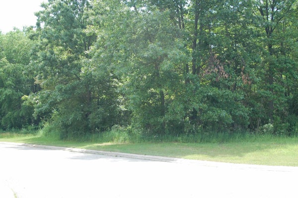 51322 CHRISTIAN DR # 19, SOUTH BEND, IN 46628 - Image 22bd176bbe6037a20edd70d2b42ee014/3131923930