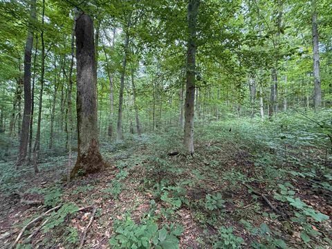 Tiny photo for 5276 N Blue Heron Road, Solsberry, IN 47459 (MLS # 202605686)