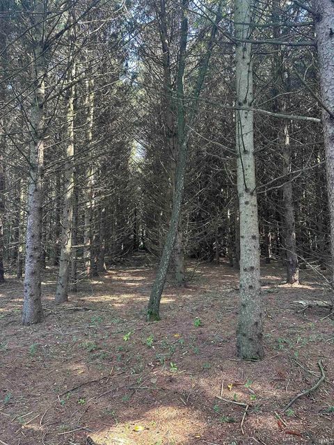 Tiny photo for 3148 N 450, Winamac, IN 46996 (MLS # 202618263)
